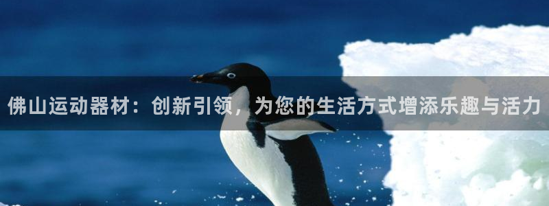 凯捷体育集团：佛山运动器材：创新引领，为您的生活方式