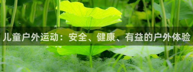 凯捷体育平台注册：儿童户外运动：安全、健康、有益的户