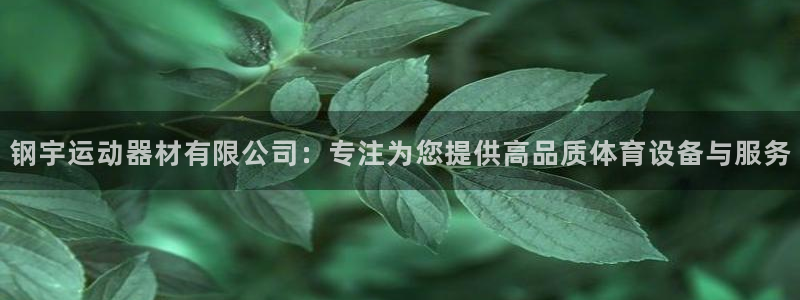凯捷体育平台注册要钱吗安全吗：钢宇运动器材有限公司：
