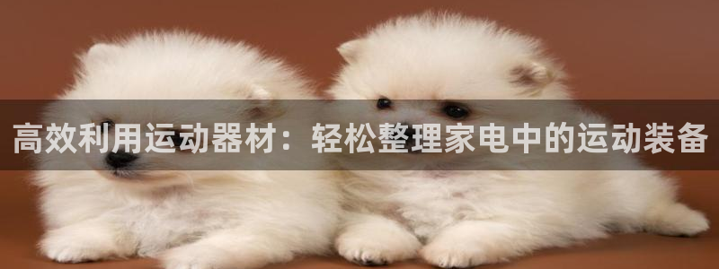 凯捷体育娱乐：高效利用运动器材：轻松整理家电中的运动