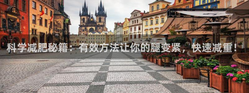 海南凯捷体育发展怎么样：科学减肥秘籍：有效方法让你的