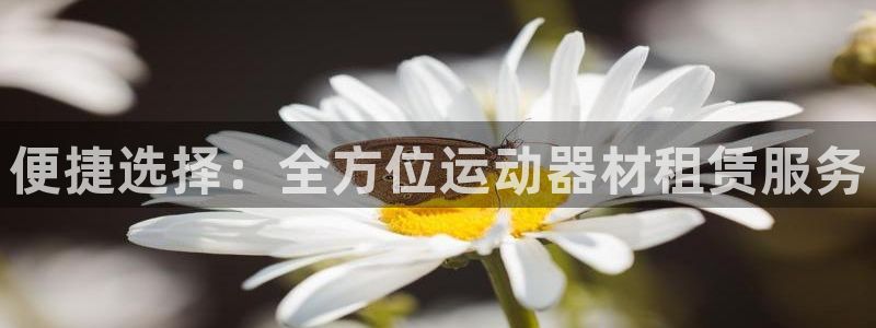 凯捷体育娱乐：便捷选择：全方位运动器材租赁服务