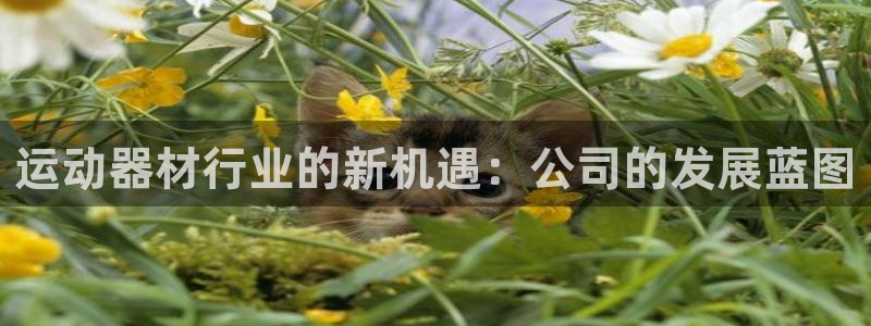 凯捷体育官网：运动器材行业的新机遇：公司的发展蓝图