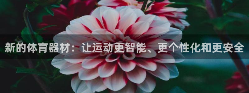 凯捷体育新能源：新的体育器材：让运动更智能、更个性化