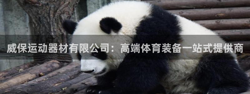 凯捷体育娱乐40996：威保运动器材有限公司：高端体