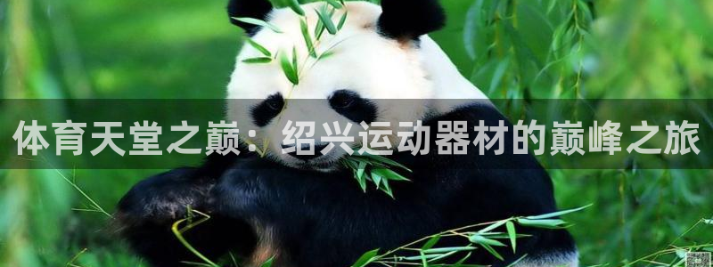 凯捷体育代理：体育天堂之巅：绍兴运动器材的巅峰之旅