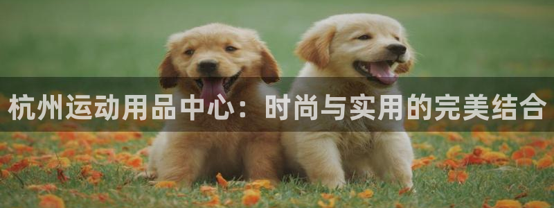 凯捷体育招商电话：杭州运动用品中心：时尚与实用的完美