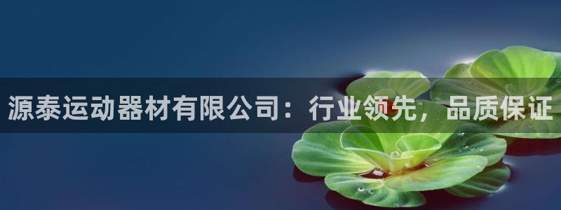 凯捷体育平台假的吗是真的吗吗：源泰运动器材有限公司：