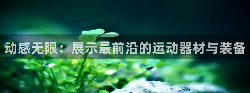 凯捷体育集团官网首页：动感无限：展示最前沿的运动器材