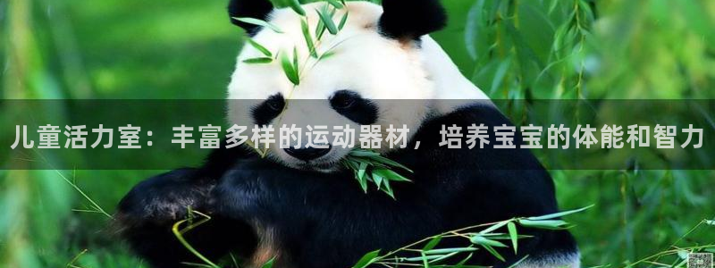 海南凯捷体育发展怎么样：儿童活力室：丰富多样的运动器