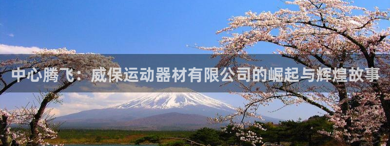 凯捷体育代理：中心腾飞：威保运动器材有限公司的崛起与