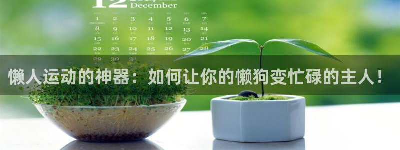 凯捷体育是干嘛的公司：懒人运动的神器：如何让你的懒狗