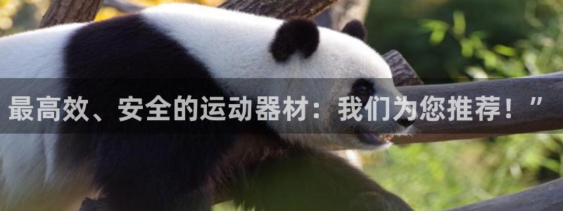 凯捷体育招商电话地址是多少：最高效、安全的运动器材：