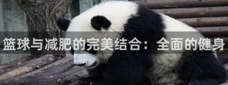 凯捷体育娱乐首页网站大全：篮球与减肥的完美结合：全面