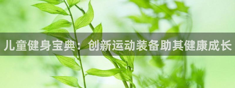 凯捷体育官方：儿童健身宝典：创新运动装备助其健康成长