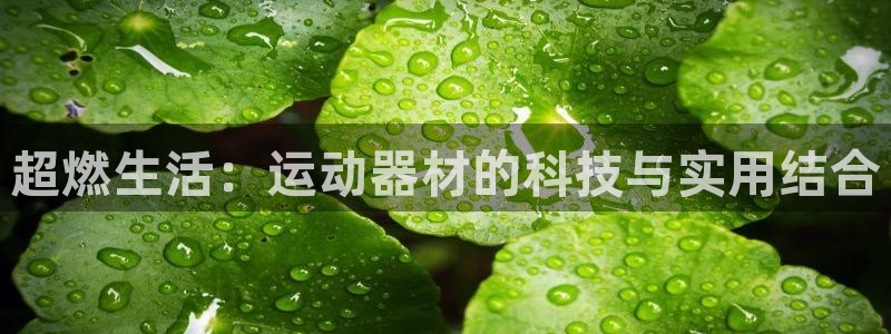 意昂集团官网：超燃生活：运动器材的科技与实用结合