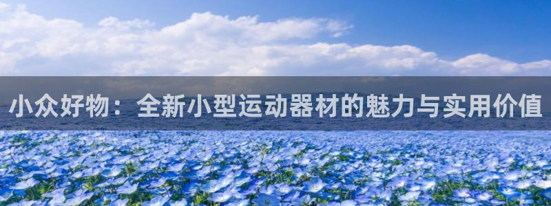 凯捷体育招商电话是多少：小众好物：全新小型运动器材的