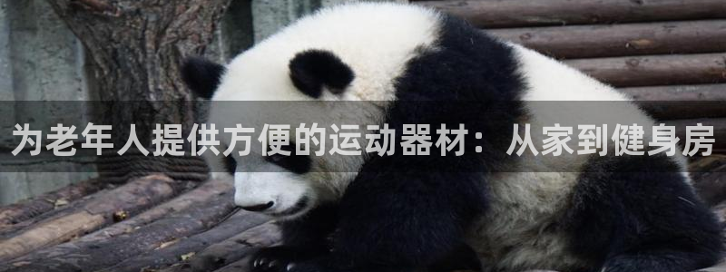 凯捷体育：为老年人提供方便的运动器材：从家到健身房