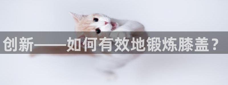 凯捷体育招商电话是多少：创新——如何有效地锻炼膝盖？