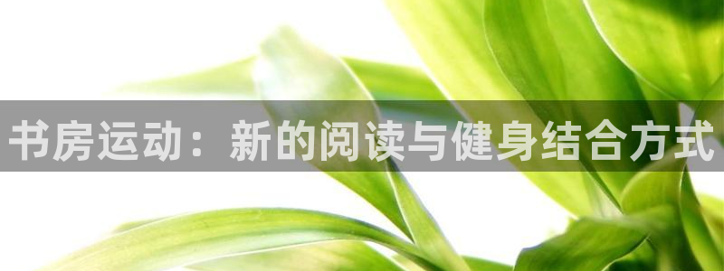 凯捷体育招商电话地址是多少:书房运动:新的阅读与健身结合方式