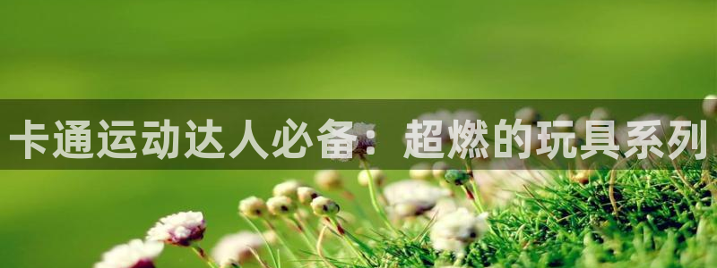 凯捷体育联系电话：卡通运动达人必备：超燃的玩具系列