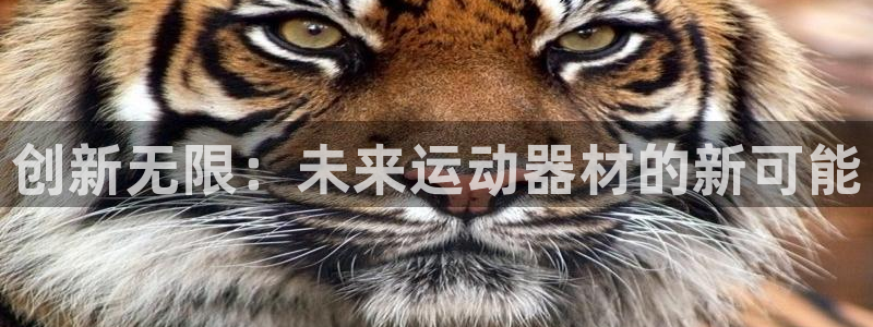 凯捷体育娱乐首页网站大全：创新无限：未来运动器材的新可能